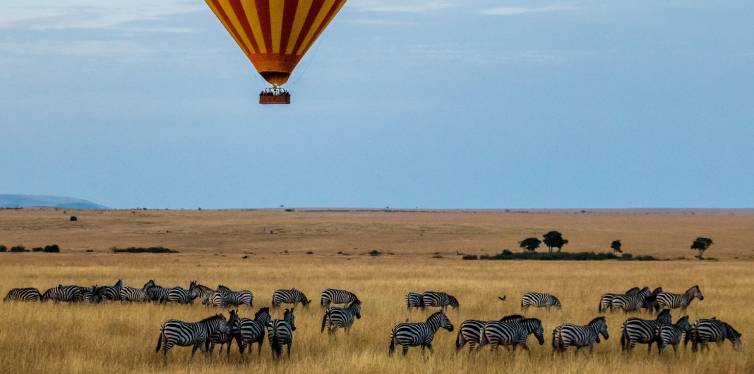 survoler des zèbres en ballon en safari africain